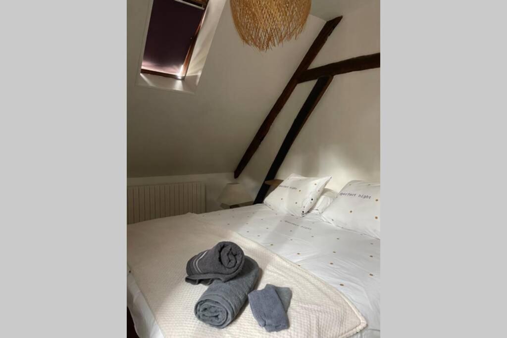 Appartement «La Vie Est Belle» Au Coeur De Sézanne Exterior foto